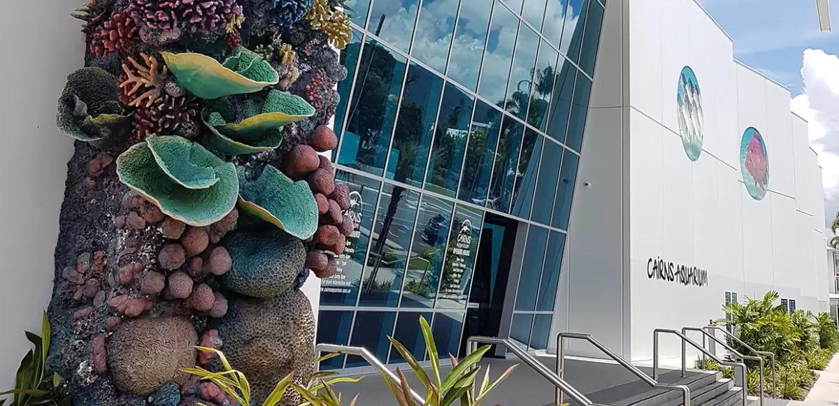 Cairns Aquarium 03